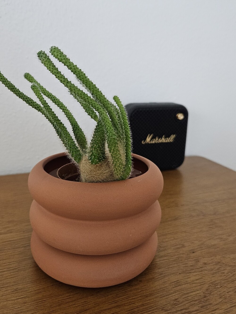 uo areaware mini stacking ribbed decor planter ring boho hippie pot clay pot